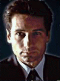 1mulder.gif